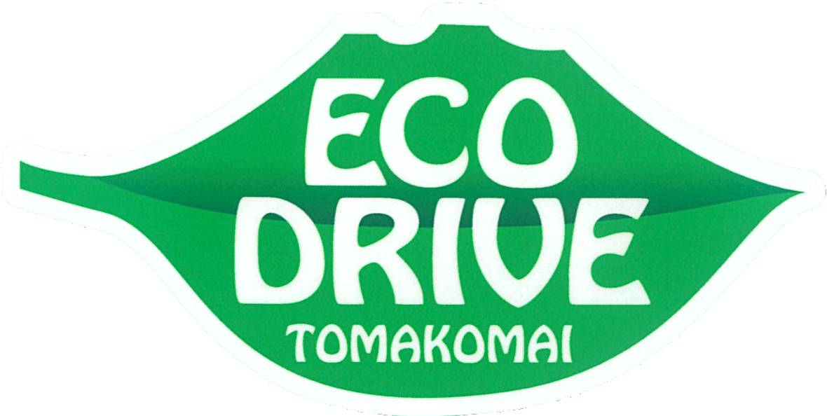 ECO DRIVE1